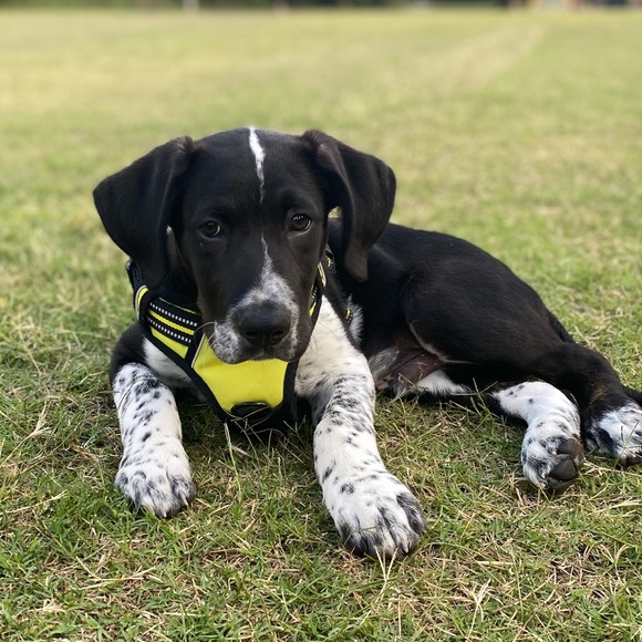 Hey there🤠! - Picture 3 of 5